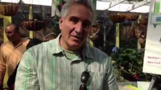 Compost to help heal your soil