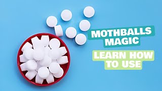 How to Use Mothballs | 12 Easy Steps to Use Mothballs | Daily Needs Studio