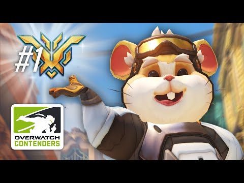 This is What The Rank 1 One Trick Team Looks Like