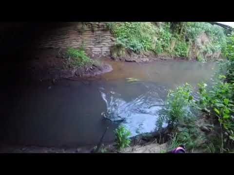 Pike take from ditch on quick session after work river cuckmere