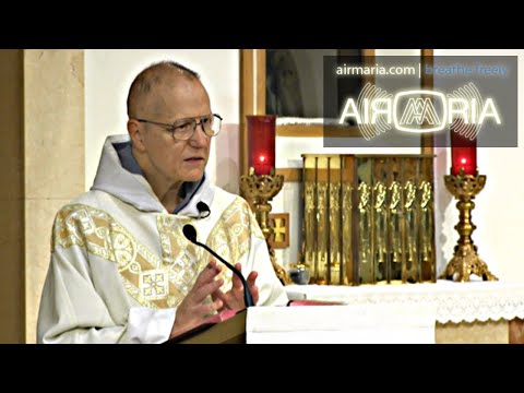 St. Benedict's Formula for a Holy Life - Jul 11 - Homily - Fr Maximilian W