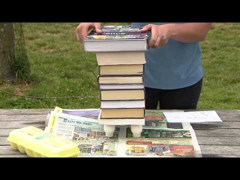 Experiment: How Many Books can Eggs Hold Up?