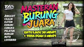 Download lagu CEPAT MASUK!! Masteran Burung Juara Kombinasi lengkap Satu Jalur Dengan Jeda mp3