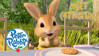@Peter Rabbit - Meet Cottontail! 🐰 | Meet the Characters | Cartoons for Kids