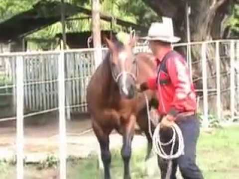 Ali Bolivar - Amor Infinito Video - Official