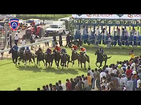 RM1 R8 - Good Buddy | C.Segeon