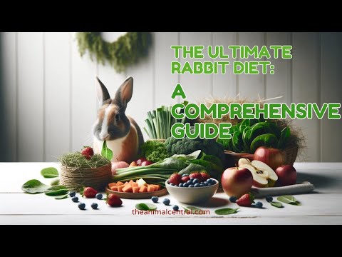 The Ultimate Rabbit Diet: A Comprehensive Guide