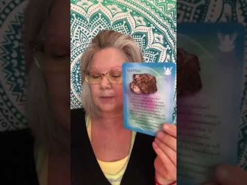 💎Daily Divine Message💎Animal Allies💎Gemstone Guardians💎 Elestial & Wolf