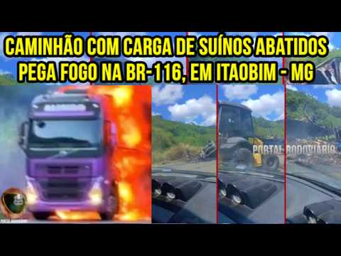 Caminhão com carga de suínos abatidos pega fogo na BR 116, em Itaobim MG