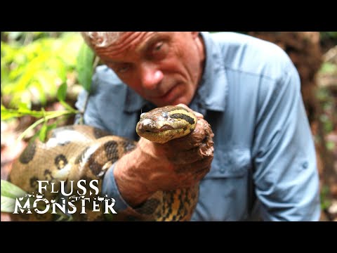 Mysteriöse Fälle in Porto de Moz: Ein neues Flussmonster | S6 E03 | Fluss Monster