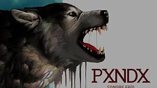 PXNDX-De Otro Modo con letra