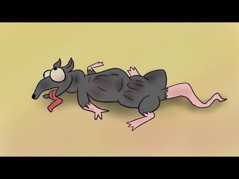 Frame Perfect Rat Smash -  Monster Factory Animated