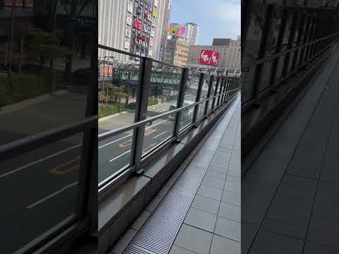 動画の告知です。