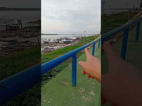 Isso é Manacapuru/Amazonas Brasil Aqui o povo planta a comida até na frente do cais da cidade. 