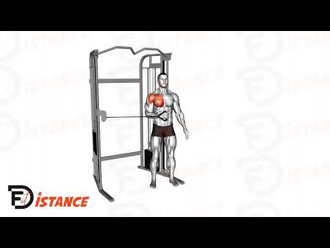 Exercice Rotation interne à la poulie