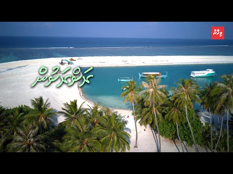 މަންދޫ މީހުން ބަންދުން ވީއްލިގޮތް "ކަމަކުނުދޭ"!