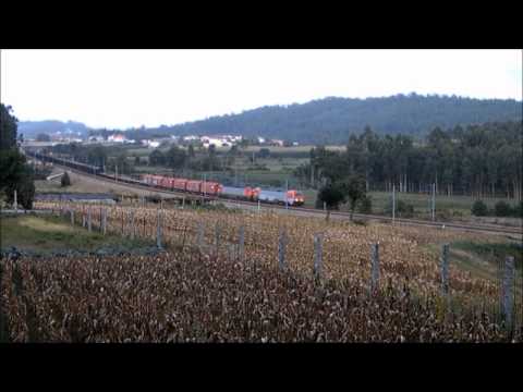 Comboio Especial n.º 92228 - Nine