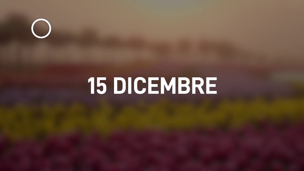 15 Dicembre 2024 | Meditazione Parole di Vita
