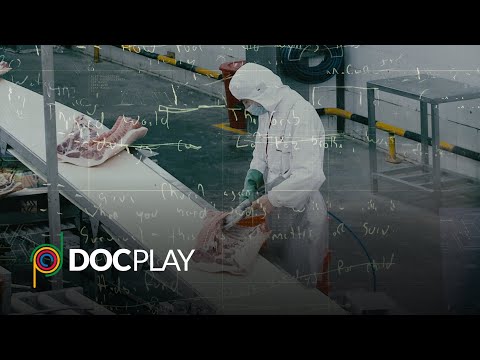 The Grab | Official Trailer | DocPlay