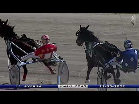 Aversa trotto 21 Maggio 2022 - 1° Corsa