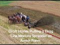Washington DC?...No An Amish Farmer in Lancaster County Spreading Manure With A Drag Line System.