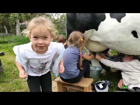 Wyjazd na wykopki - Ranczo Artemidy