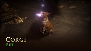 [情報] 新寵物 真實可愛寵物系列