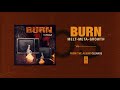 Burn "Melt-Meta-Growth"