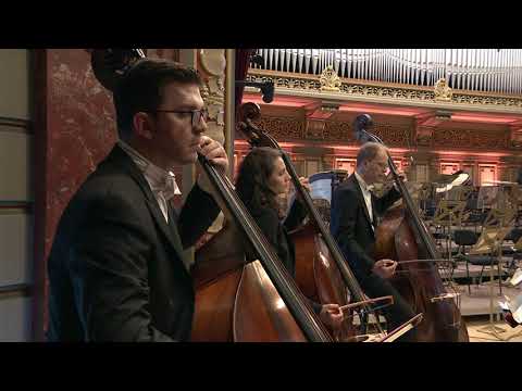 The Deutsche Kammerphilharmonie Bremen & Julien Libeer | George Enescu International Festival 2021