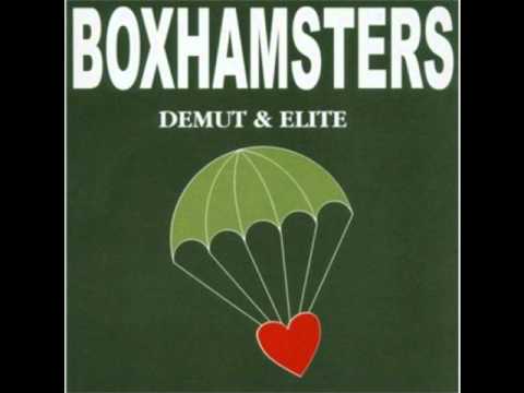 Boxhamsters - Theaterbraut