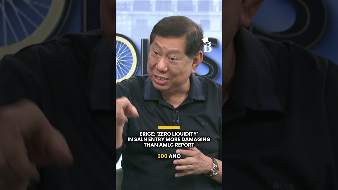 Erice: ‘Zero liquidity’ in SALN entry more damaging than AMLC report