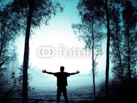 Heart Of The Flower video thumbnail