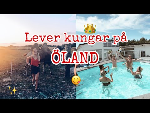 DEN HÄR VLOGGEN FÅR NI INTE MISSA!!!!