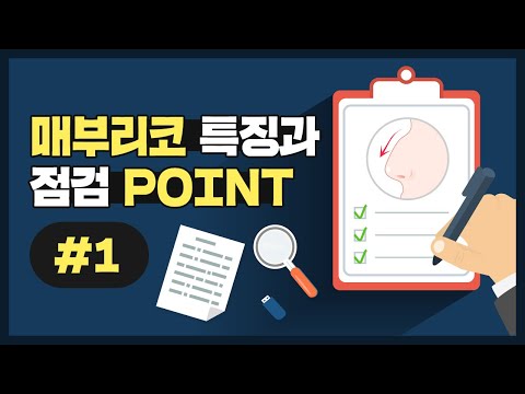 [매부리코 #1] 매부리코 성형의 중요 포인트