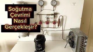 Soğutma Çevrimi Nasıl Gerçekleşir? Buzdolabı Nasıl Çalışır?