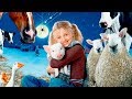 La Telaraña De Carlota Trailer Español