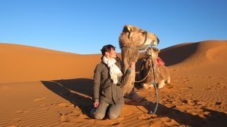Camel Ride in the Sahara Desert, Morocco