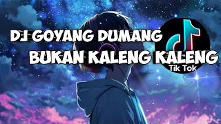 Download lagu DJ GOYANG DUMANG BUKAN KALENG KALENG VIRAL TIK TOK 2025 mp3