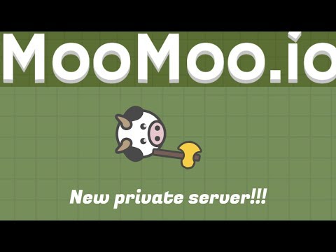 Download moomoo.io private server with dev commands mp3 free and mp4