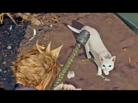 Final Fantasy VII Remake - Sector 7 Slums Cat Locations
