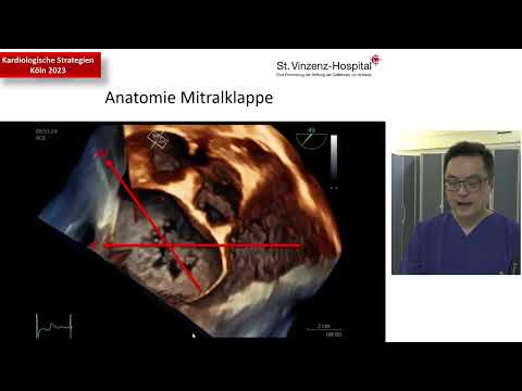 Kardiologische Strategien 2023: Live Fall 3: Dreidimensionale Echokardiographie (TTE & TEE)
