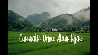 Download lagu CINEMATIC DRONE PEMANDANGAN SAWAH DAN HUTAN HIJAU mp3