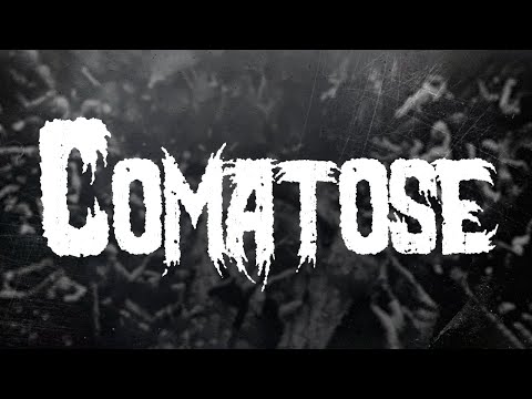 Skillet - Comatose / Lyrics