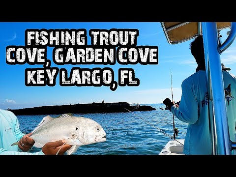 Fishing Trout cove / Garden cove  Key Largo, Fl #fishingfamily #saltwaterfishing