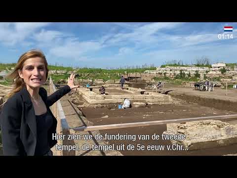 Mini-college 6 | Actueel onderzoek