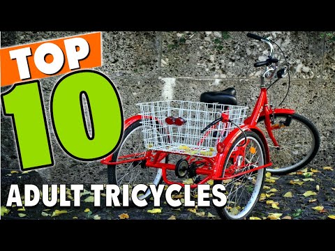Best Adult Tricycles in 2025 (Top 10 Picks)