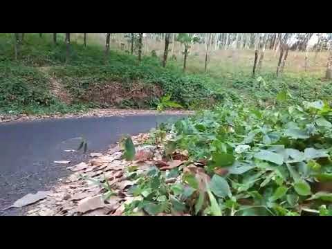 Alex Rins VS Marq Marquez last lap duel |motogp2019