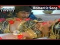 Donga Mogudu Telugu Movie Kokamma Cheppamma Video Song Chiranjeevi Bhanupriya Radhika