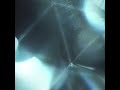 Mild Minds - DESTINATIONS (Visualizer)