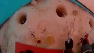 Мормышки для ловли сига зимой